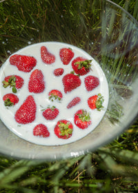 Farmer Protein Powder